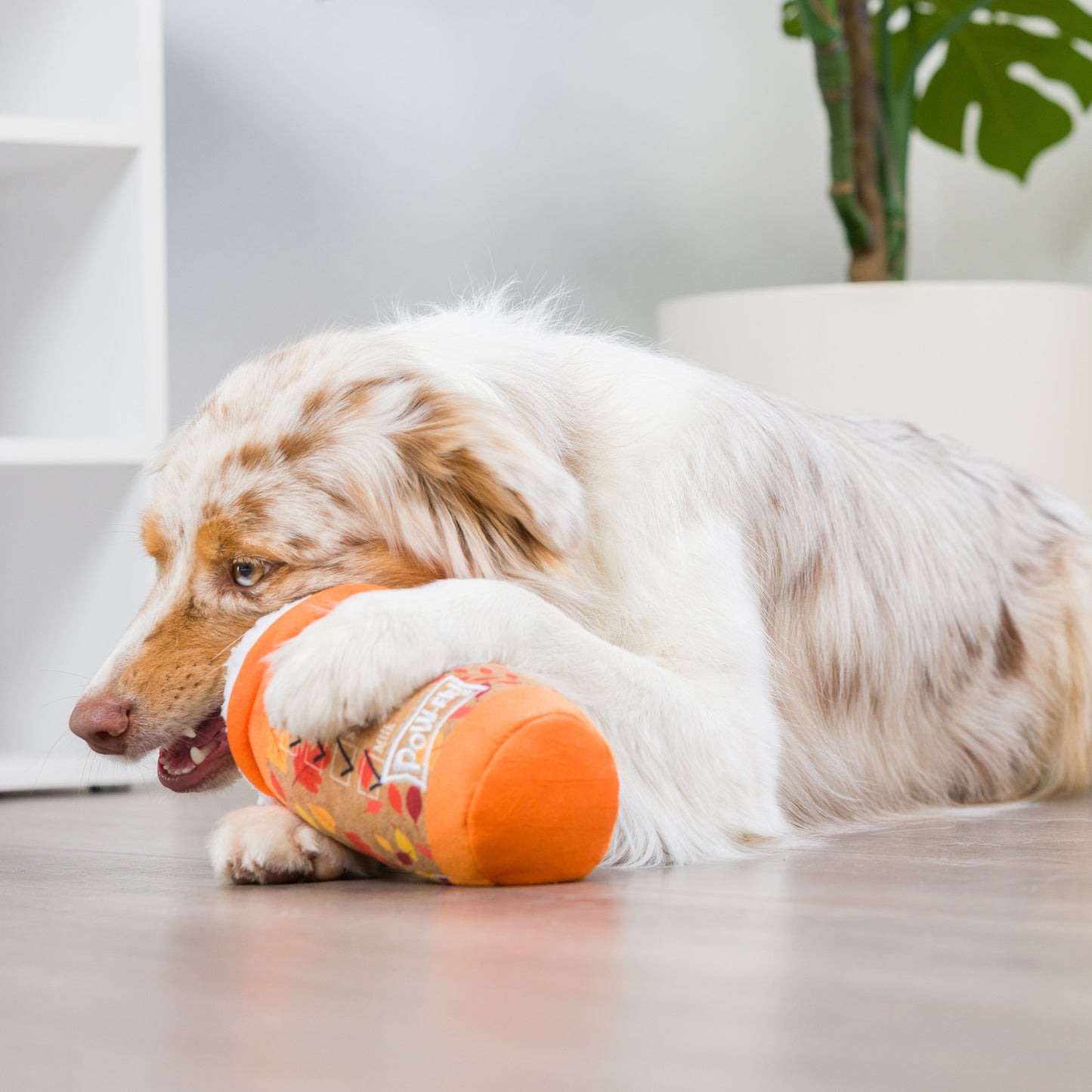 Puggin Spice Latte Dog Toy