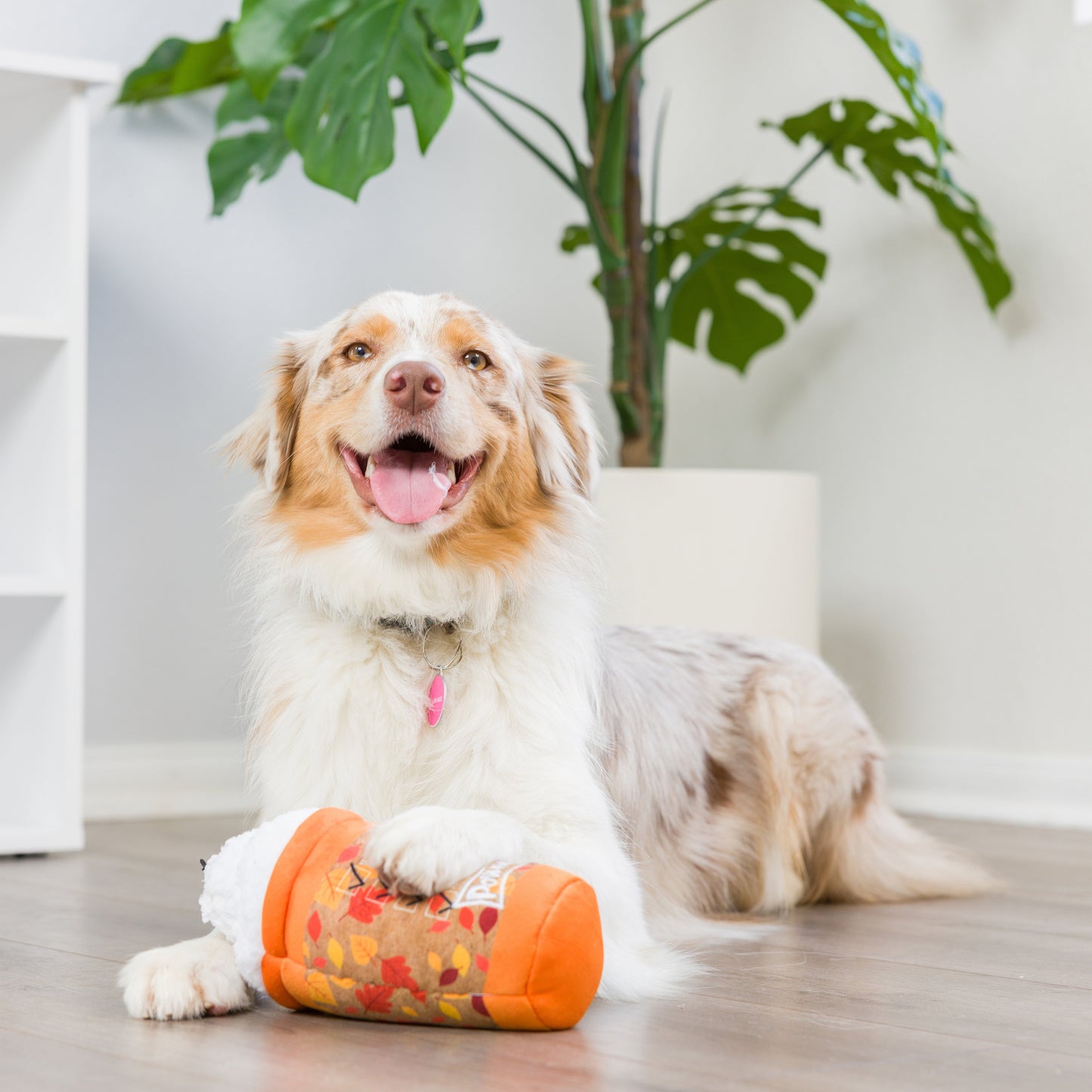 Puggin Spice Latte Dog Toy