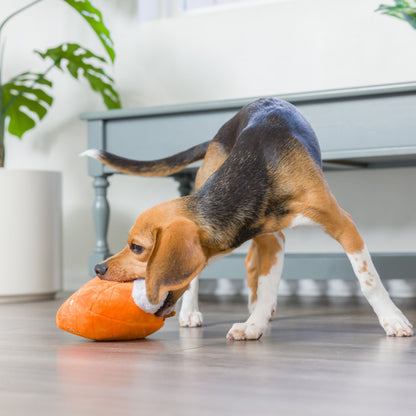 Punkin Pie Dog Toy