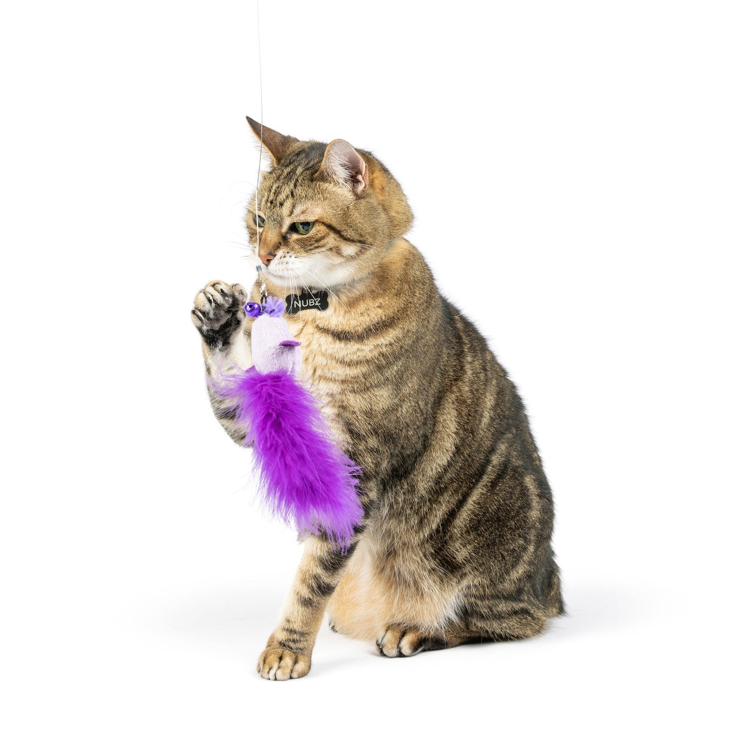 Cat Toy Wand Refill - Purple Birdy Feather Teasers 2pk