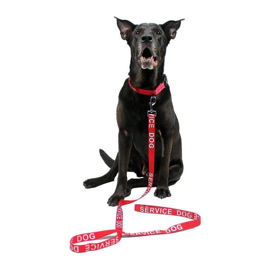 Reflective Red Nylon Leash - SERVICE DOG DO NOT PET