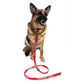 Reflective Red Nylon Leash - SERVICE DOG IN TRAINING