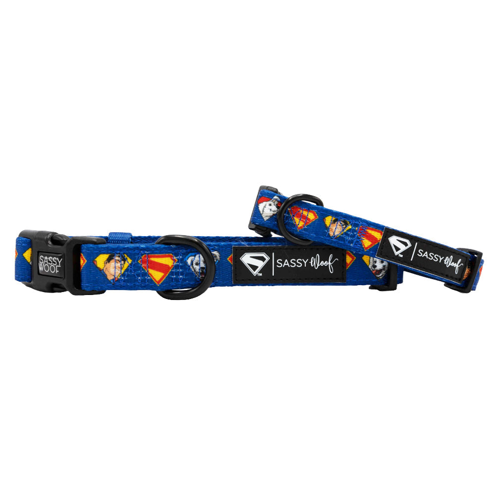 Dog Collar - Superman™ & Krypto™