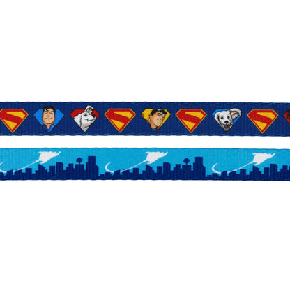 Dog Leash - Superman™ & Krypto™