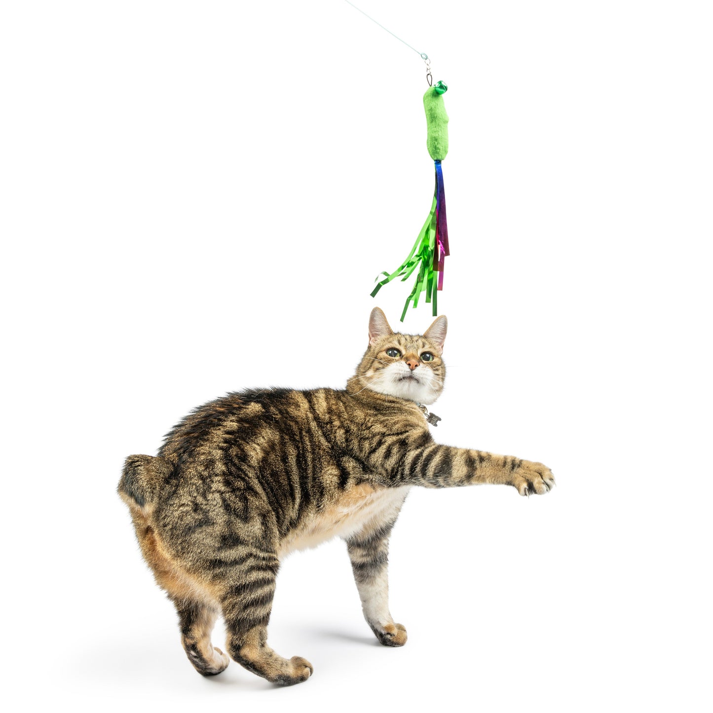 Cat Toy Wand Refill - Snacky Teasers 3pk