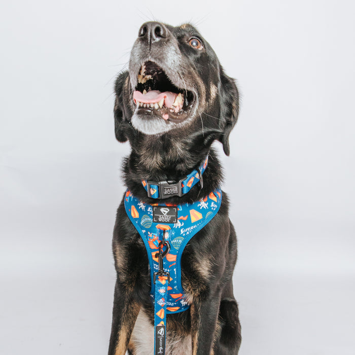 Dog Collar - Superman™ & Krypto™