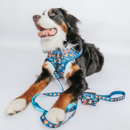 Dog Leash - Superman™ & Krypto™