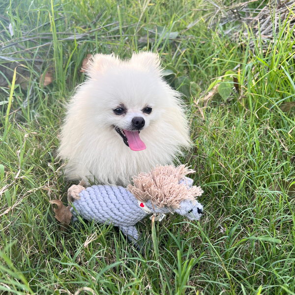 Serene the Gray Horse Rope Toy, Small