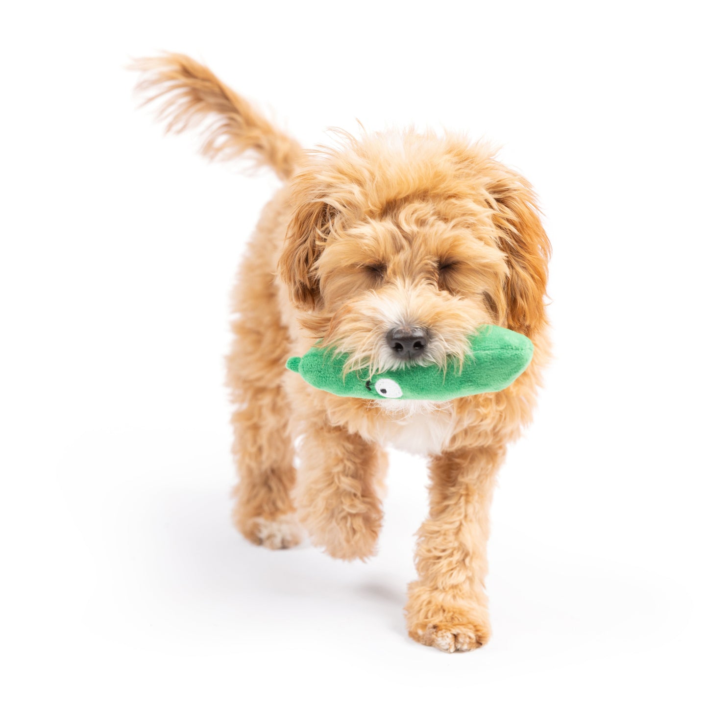 Tiny Tuff Dell Pickle Dog Toy