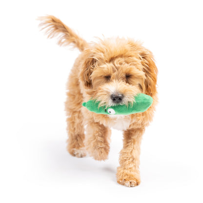 Tiny Tuff Dell Pickle Dog Toy