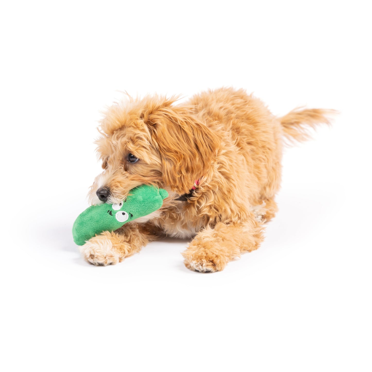 Tiny Tuff Dell Pickle Dog Toy