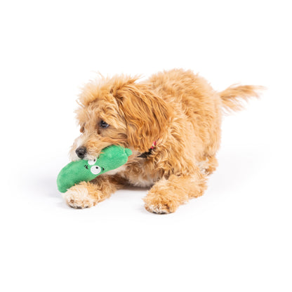 Tiny Tuff Dell Pickle Dog Toy