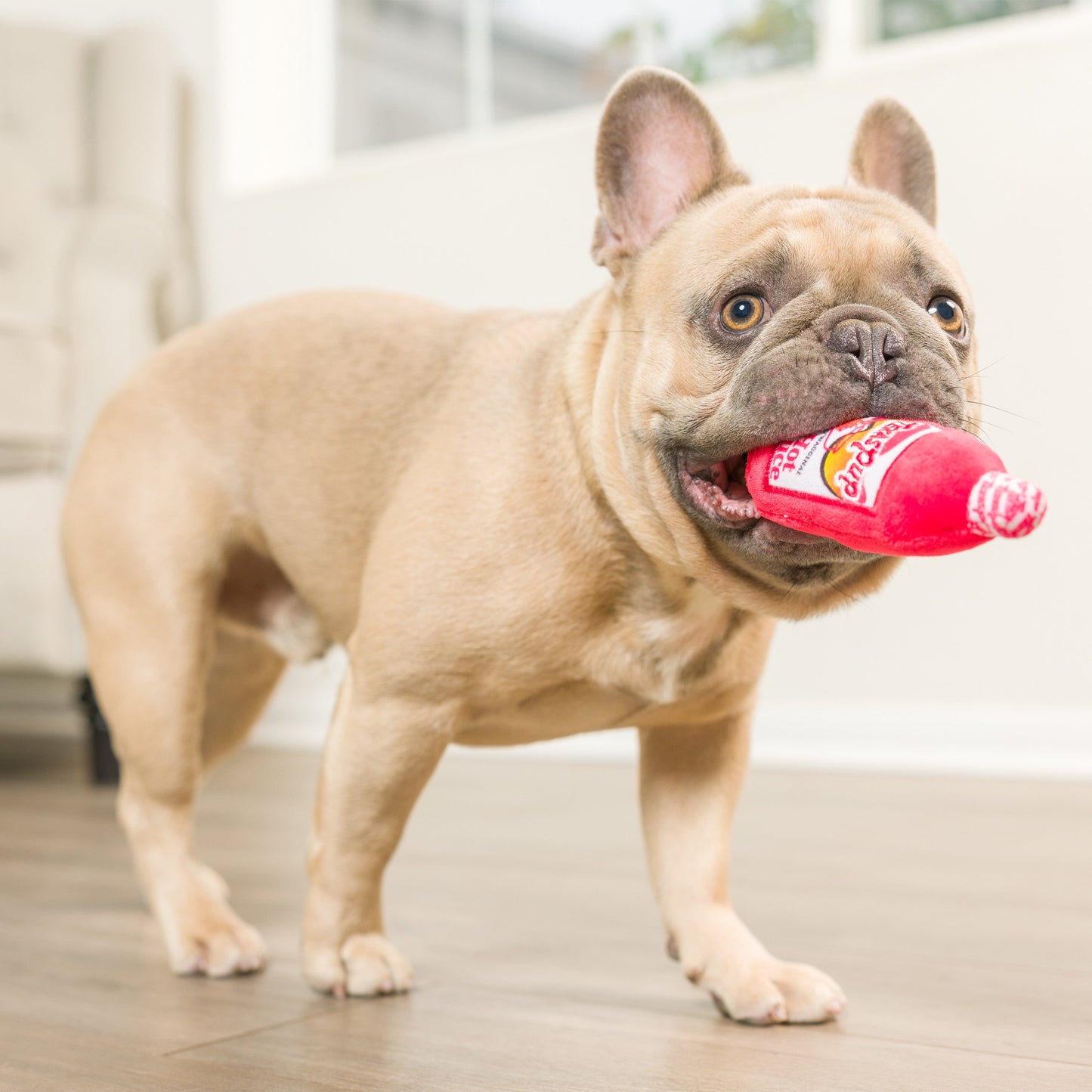 Tiny Tuff Let'S Taco 'Bout It Dog Toys