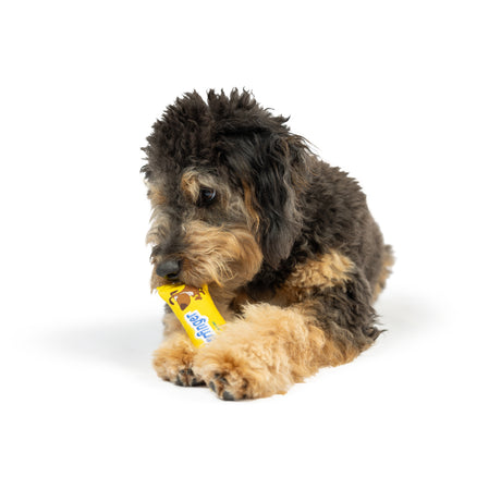 Tiny Tuff Mutterfinger Dog Toy