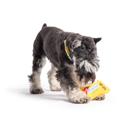 Tiny Tuff Mutterfinger Dog Toy