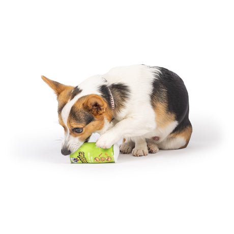 Tiny Tuff Puggles Can Dog Toy