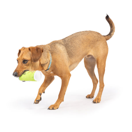 Tiny Tuff Puggles Can Dog Toy