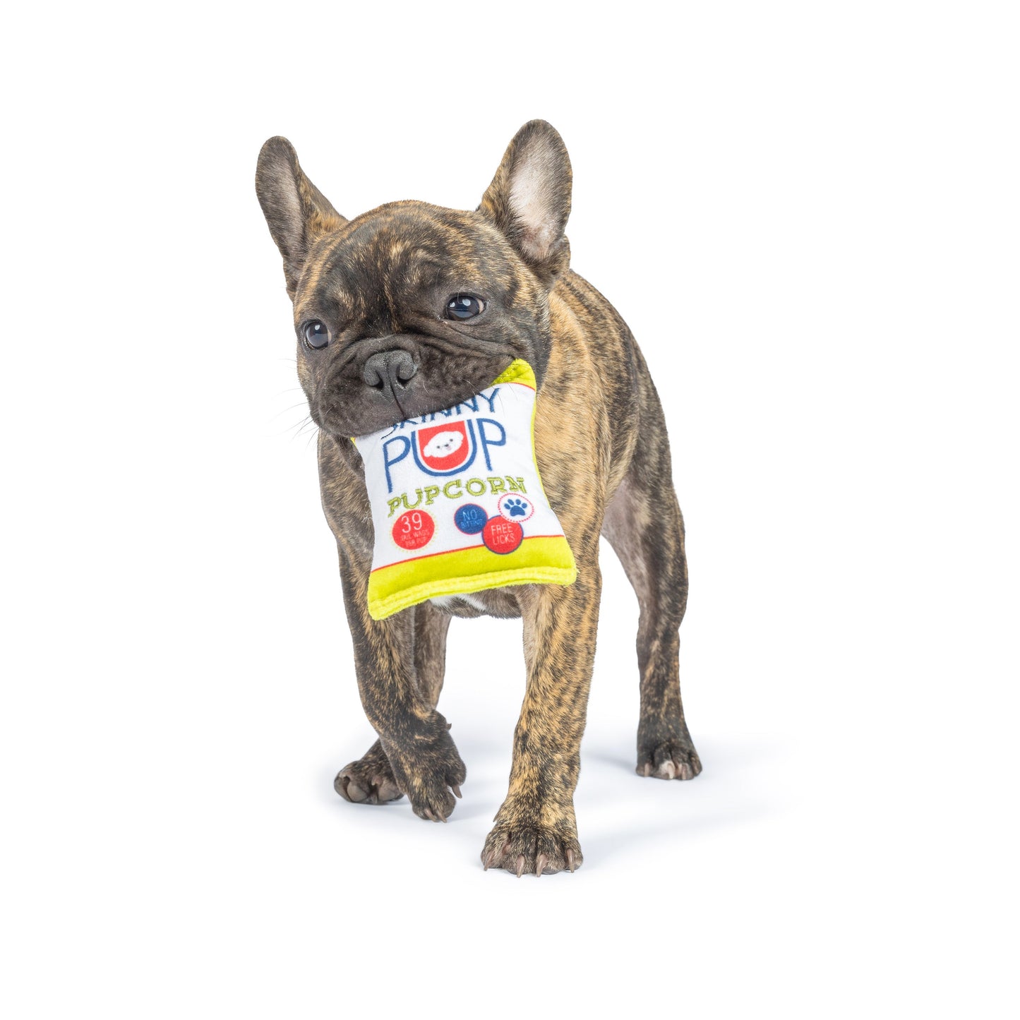 Tiny Tuff Pup 'N Pop Dog Toys