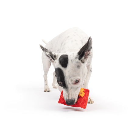 Tiny Tuff Sneez-It Dog Toy
