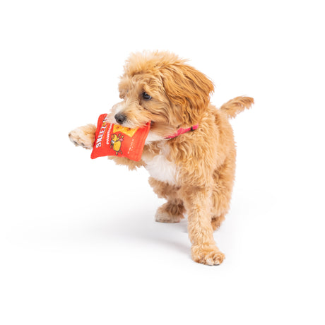 Tiny Tuff Sneez-It Dog Toy