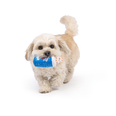 Tiny Tuff Arctic Blast Treat Dog Toy