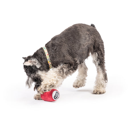 Tiny Tuff Dr Pooper Dog Toy
