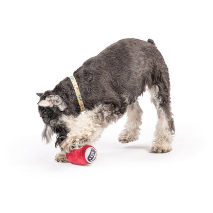Tiny Tuff Dr Pooper Dog Toy