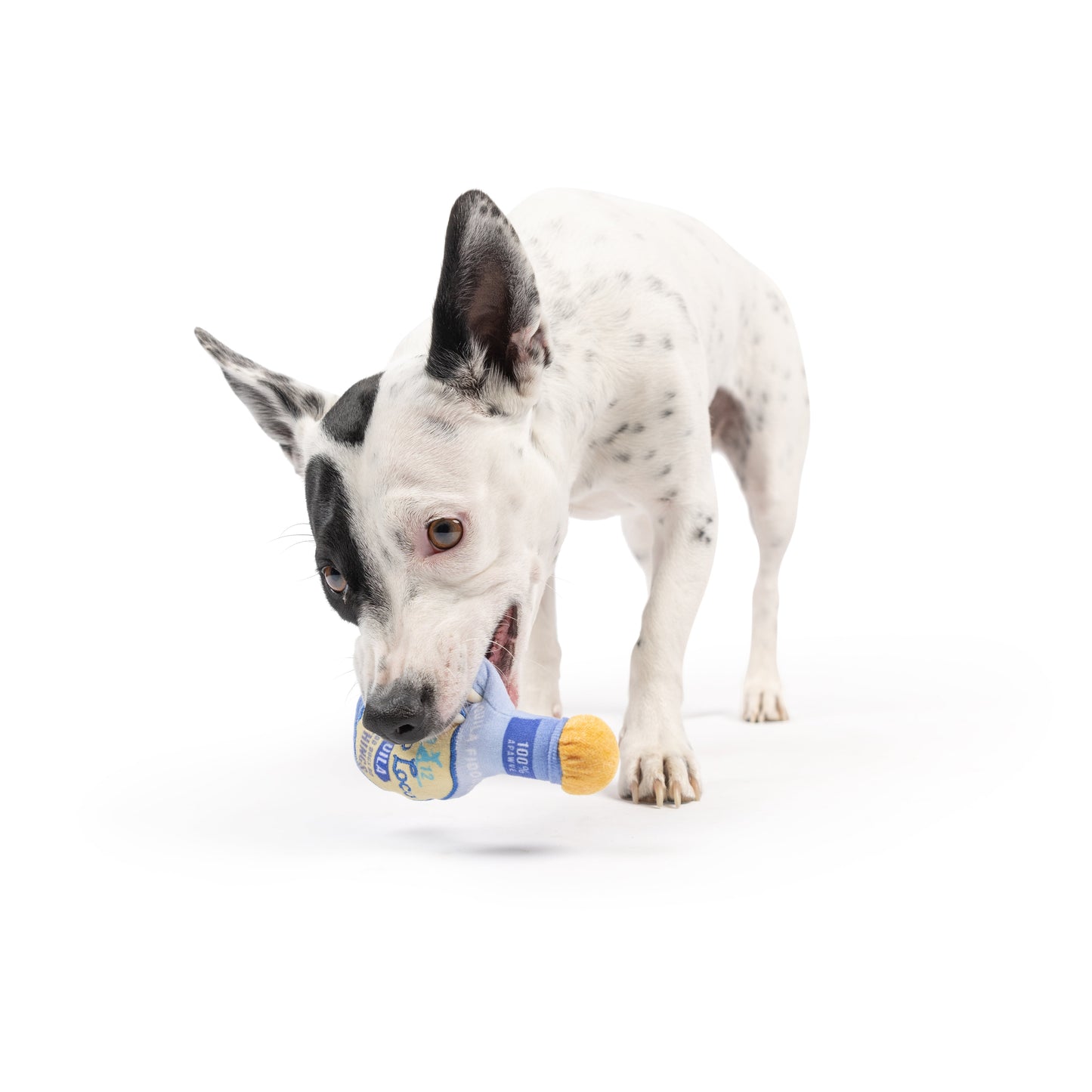 Tiny Tuff Fido Loco Tequila Dog Toy
