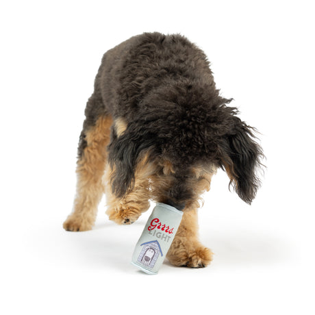 Tiny Tuff Grrrs Light Dog Toy