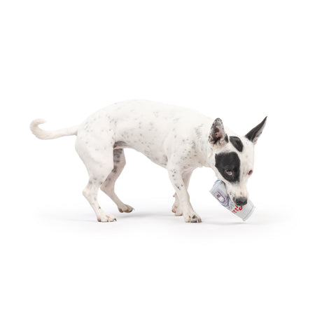 Tiny Tuff Grrrs Light Dog Toy