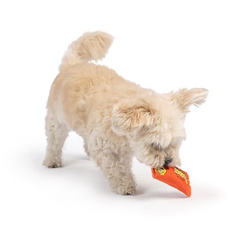 Tiny Tuff Roscos Dog Toy