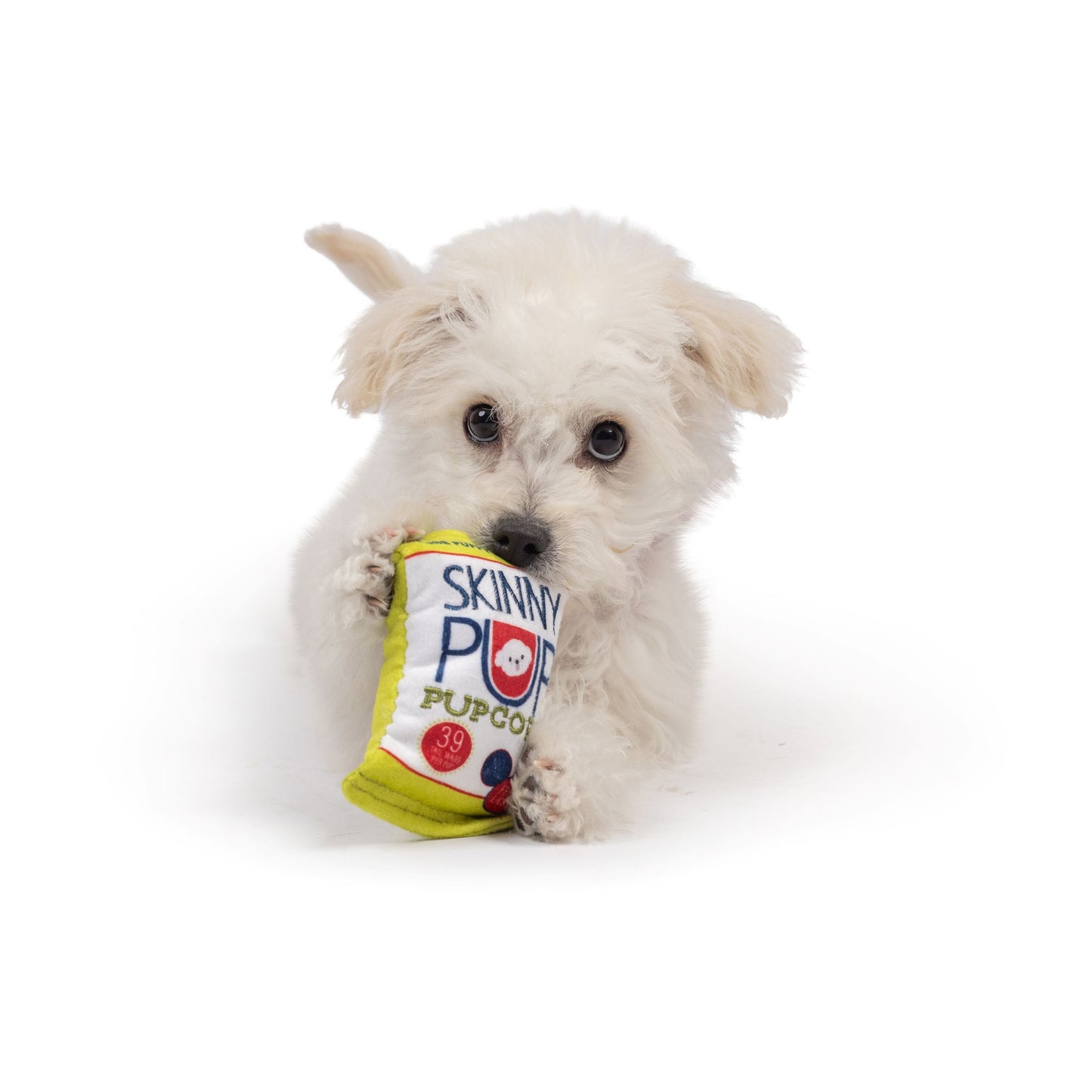 Tiny Tuff Skinny Pup Dog Toy