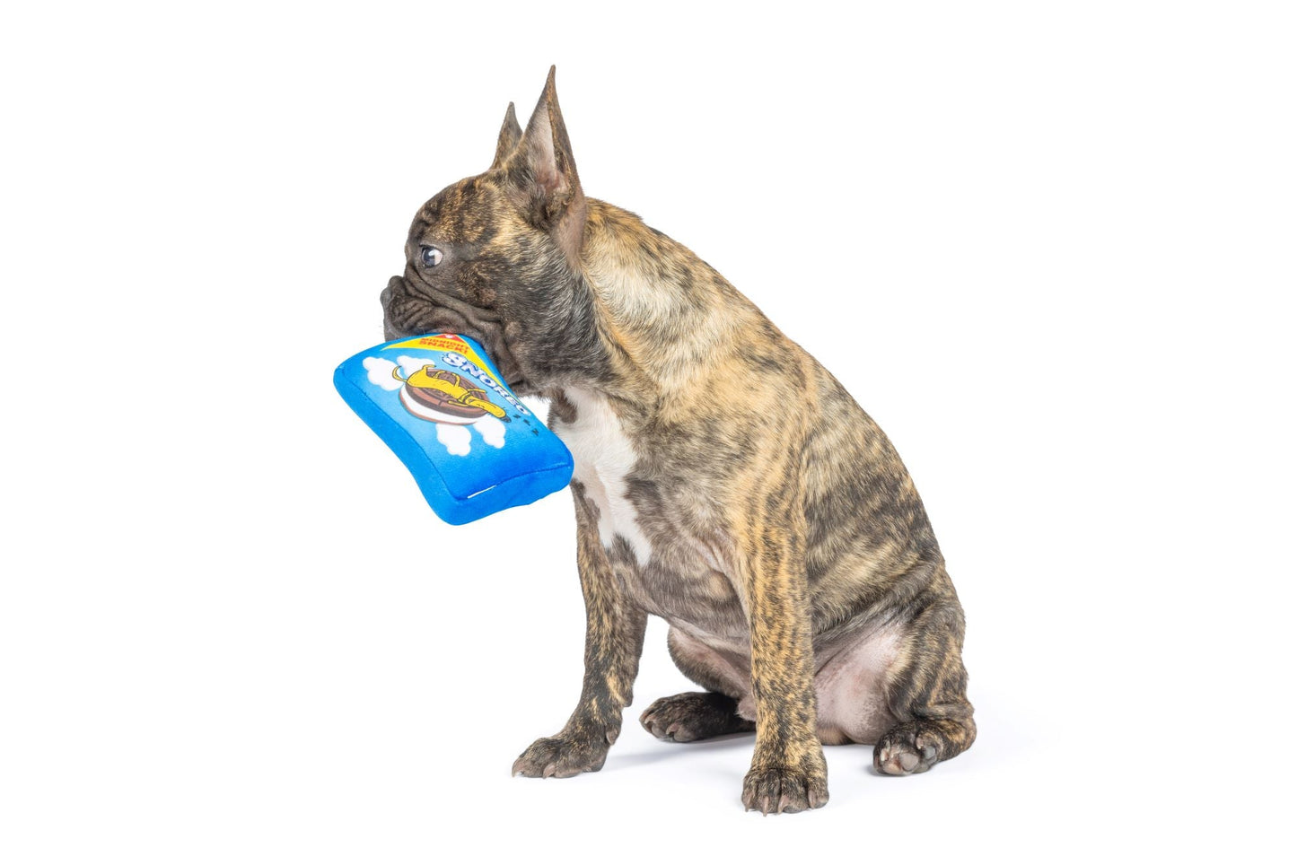 Tiny Tuff Snoreo Cookies Dog Toy