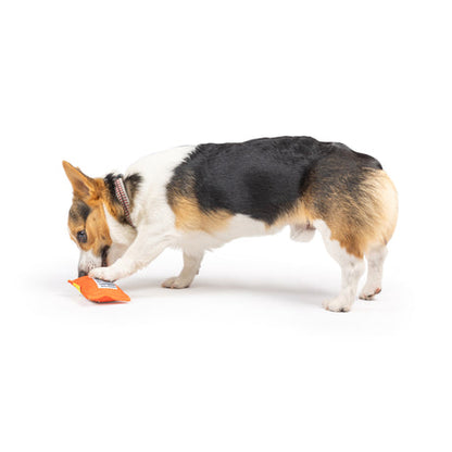 Tiny Tuff Treatos Snacks Dog Toy