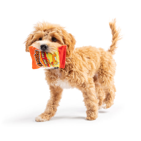 Tiny Tuff Treatos Snacks Dog Toy