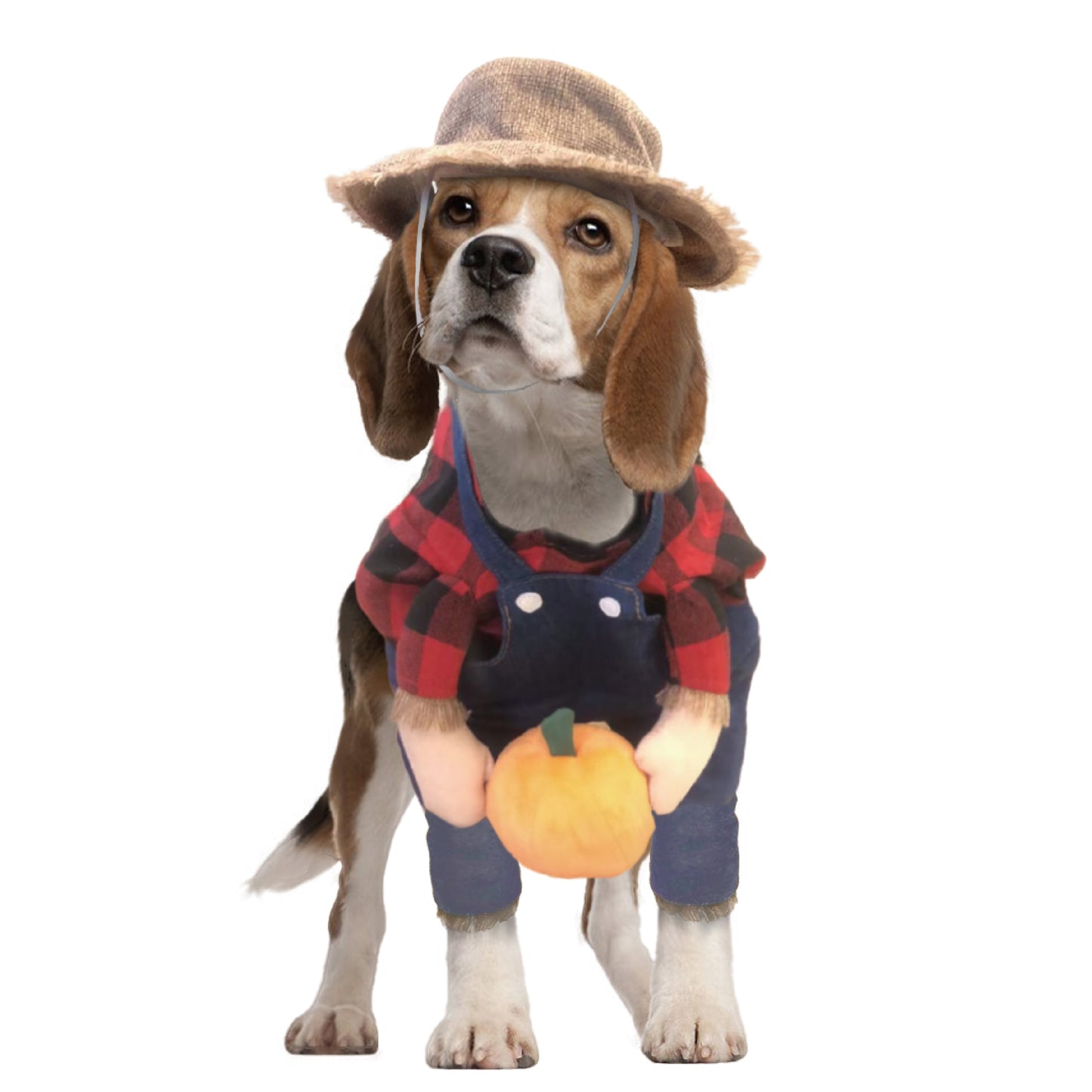 The Old McDog Pet Costume