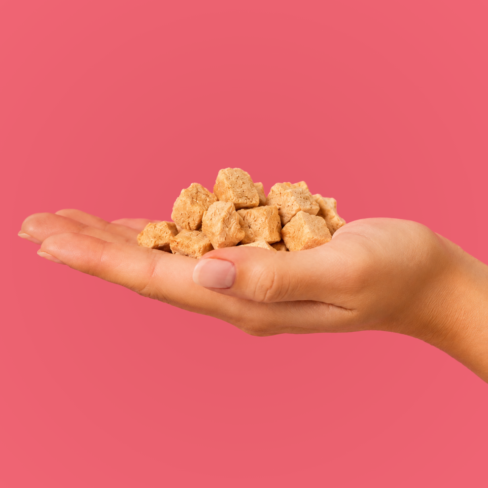 Koira | Freeze-dried Salmon Dog Treats
