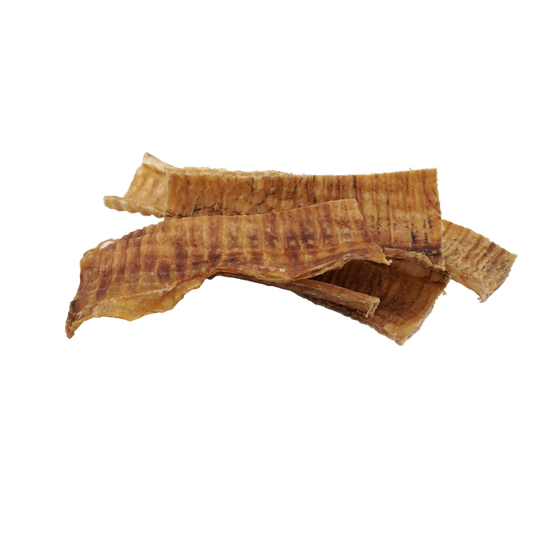 Raw Dog 6″ Beef Trachea Chew Single