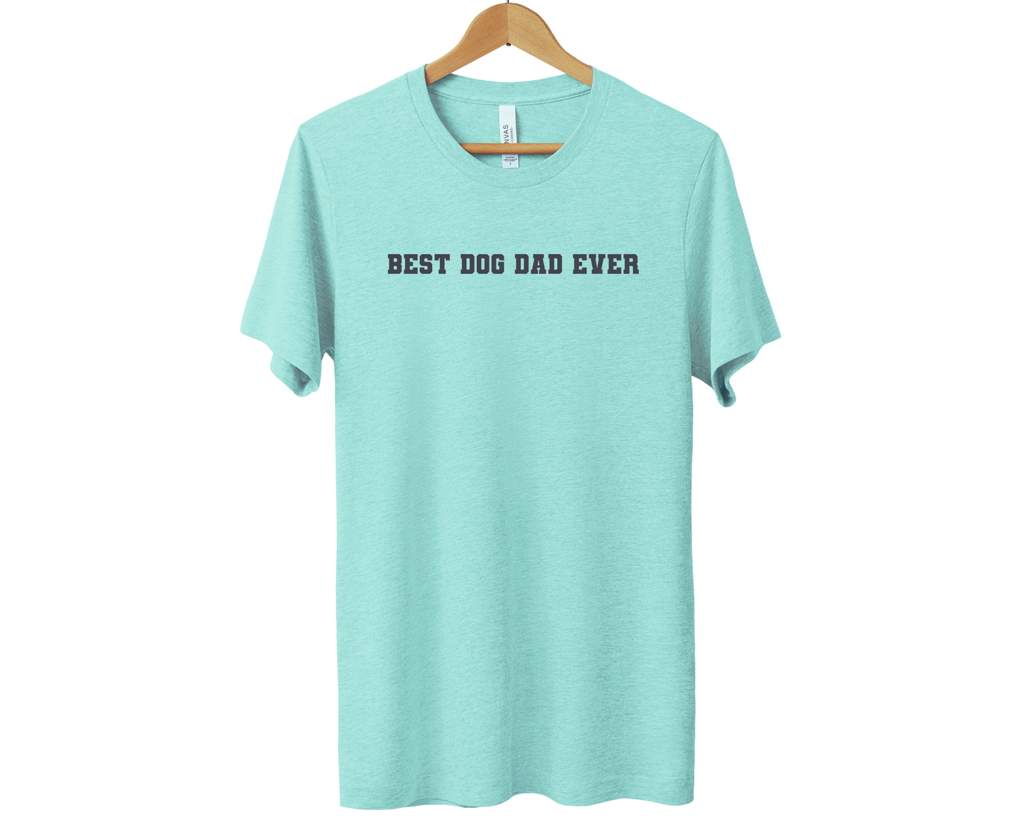 Best Dog Dad Ever Tee, Heather Mint