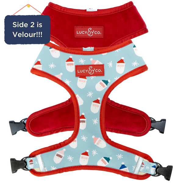 The Merry & Bright Reversible Harness