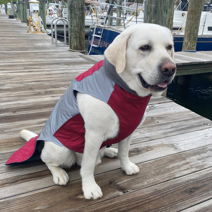 Glacier Bay Winter Dog Coat