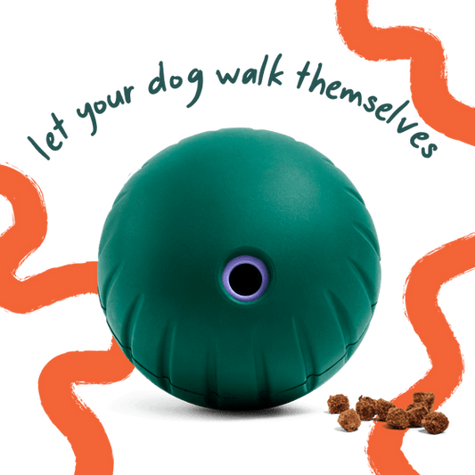 Woof Pet | Walkabout