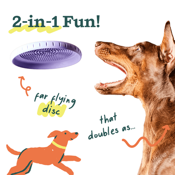 Woof Pet | Fly n' Feed