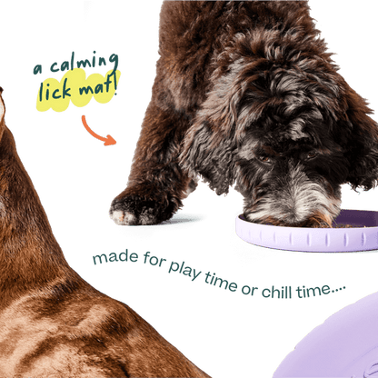 Woof Pet | Fly n' Feed