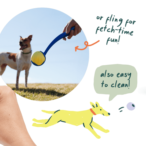 Woof Pet | Flyball