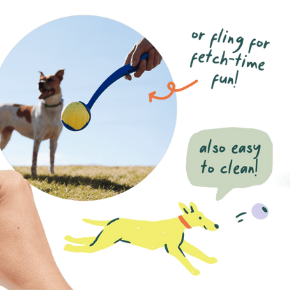 Woof Pet | Flyball