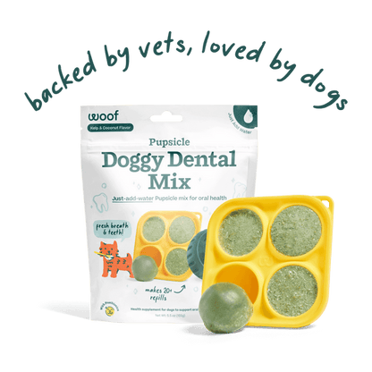 Woof Pet | Pupsicle Mix - Doggy Dental Mix 5.5oz