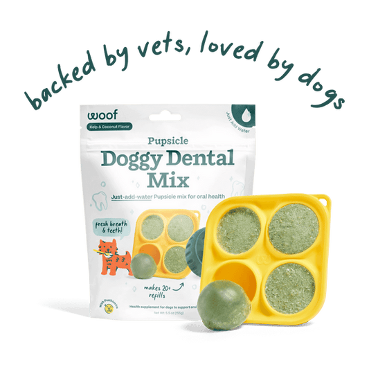 Woof Pet | Pupsicle Mix - Doggy Dental Mix 5.5oz