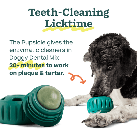 Woof Pet | Pupsicle Mix - Doggy Dental Mix 5.5oz