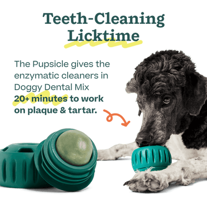 Woof Pet | Pupsicle Mix - Doggy Dental Mix 5.5oz